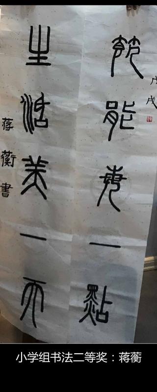 北京二外附小蒋蘅免费看黄软件减排参赛作品.jpg